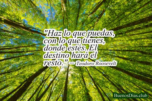 Frases sobre el destino: mensaje inspirador sobre si todo está escrito o lo creamos con nuestras decisiones